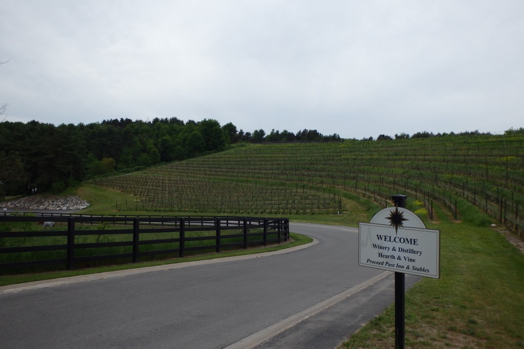 Vineyards along the hillside